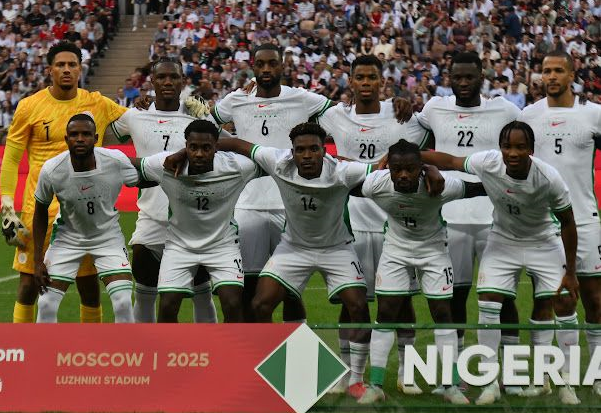 Maduka Okoye, Super Eagles